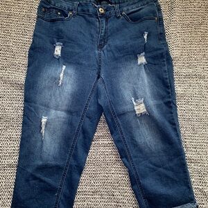 Ashley Stewart Distressed Capri